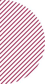 Magenta Circle Stripes